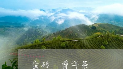 蛮砖 普洱茶/2023042652629